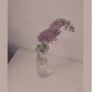 男同成人激烈视频
